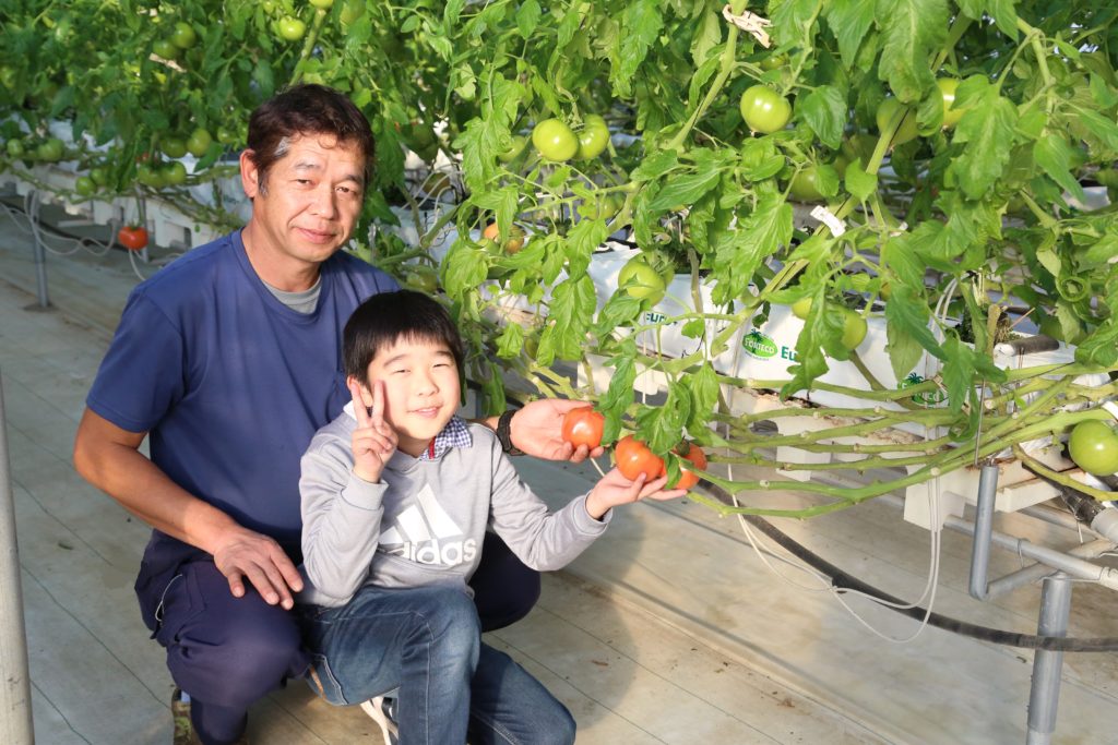 データ基にトマト生産　栃木県野木町の針谷正幸さん