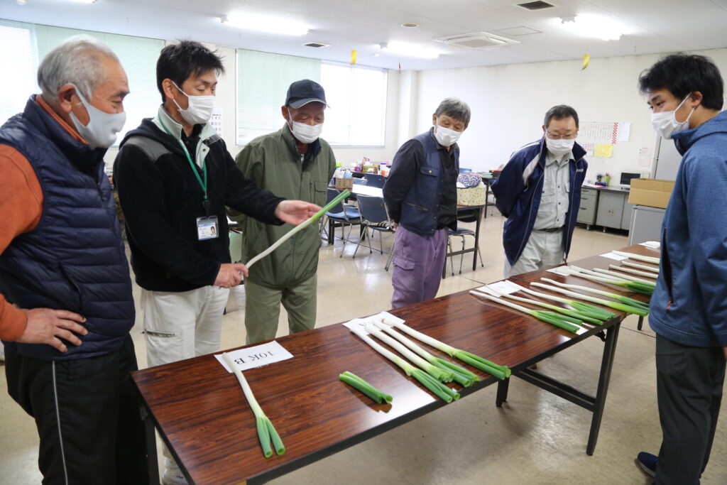 厳しくチェック秋冬ネギ　出荷当日の調製指示