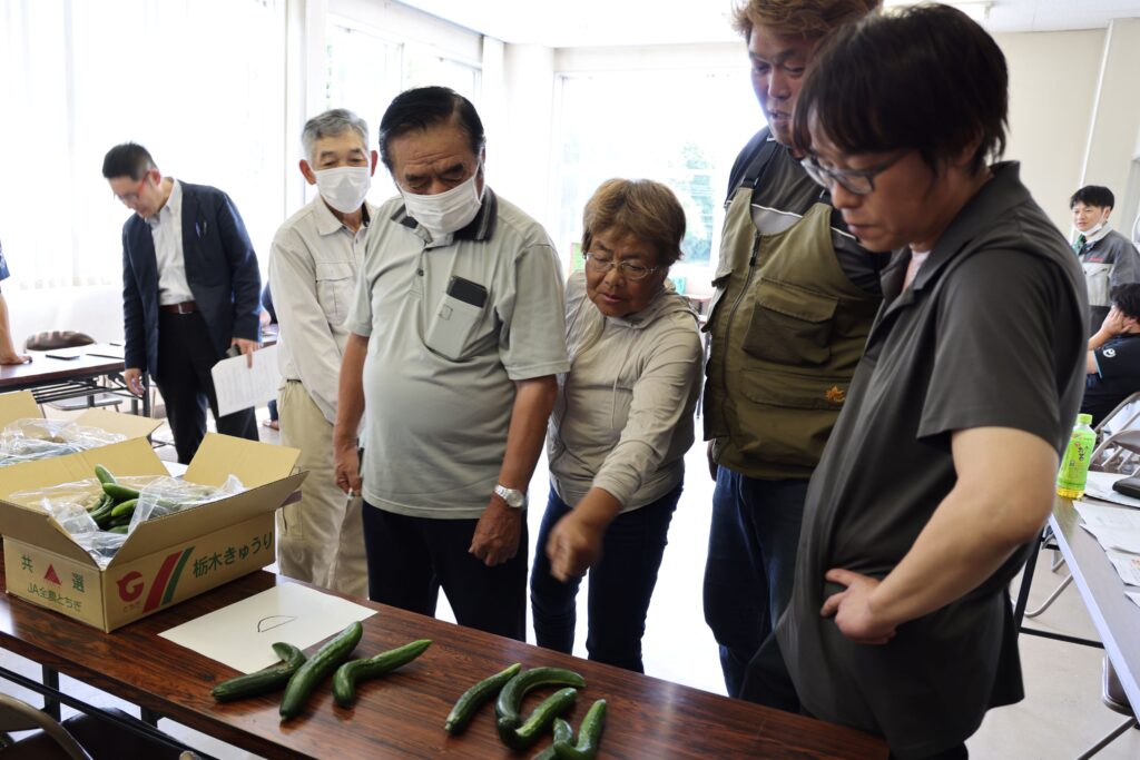 露地栽培の規格確認　薬剤散布促す