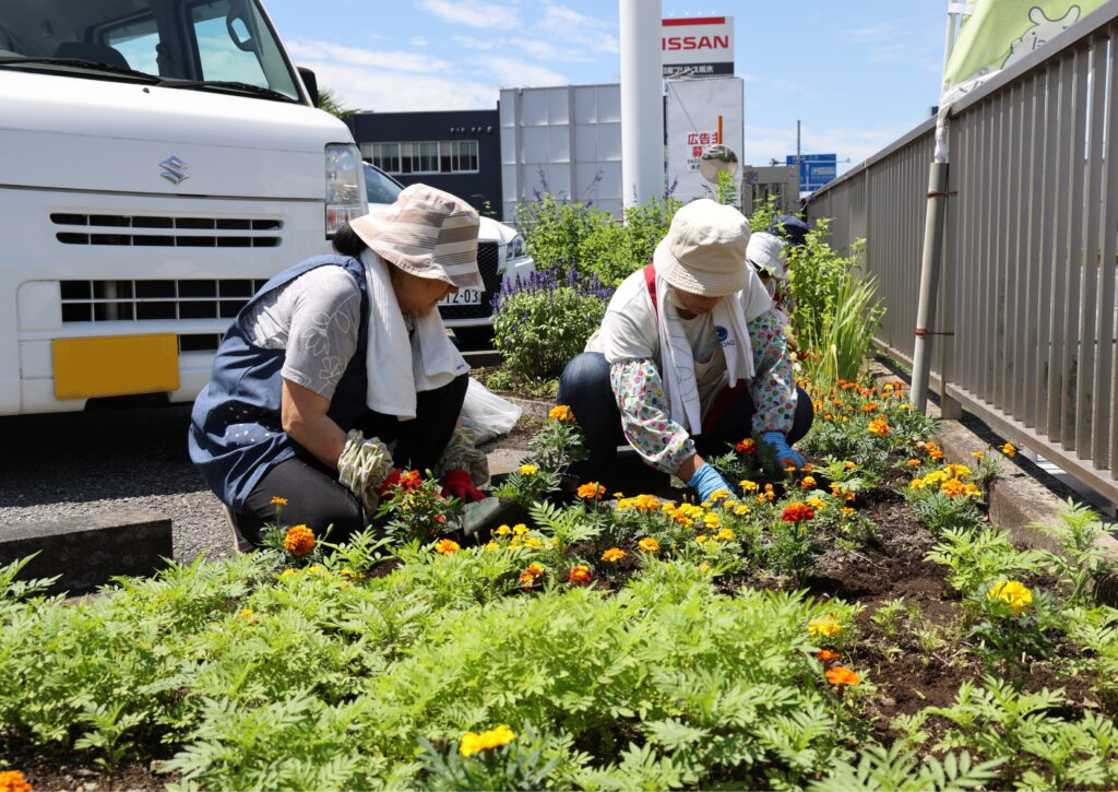 プランターに　花の苗植え替え