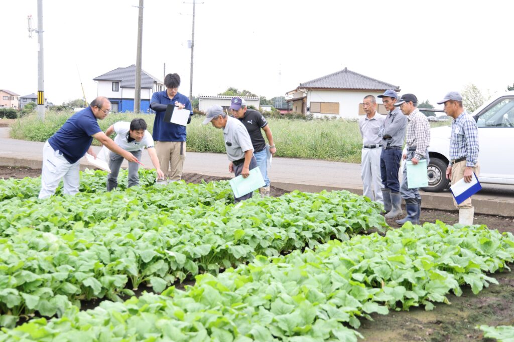 カブ病害虫防除を　検討会で周知