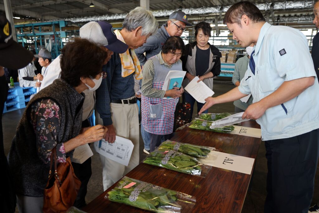 ホウレンソウ出番　選別基準を確認