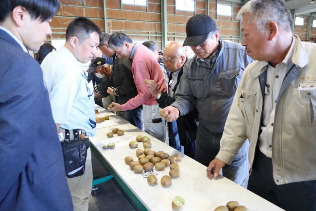 キウイ高品質出荷へ　栃木県各地で目ぞろえ　事前に量調整