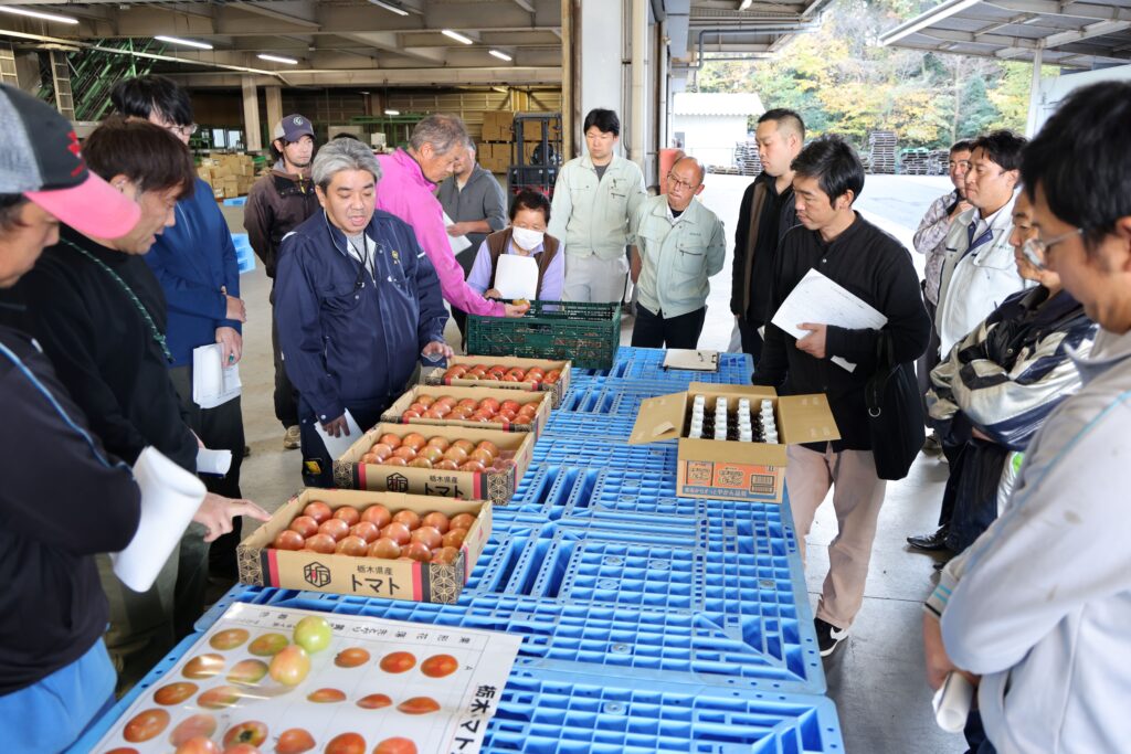 トマト目ぞろえ　対策申し合わせ